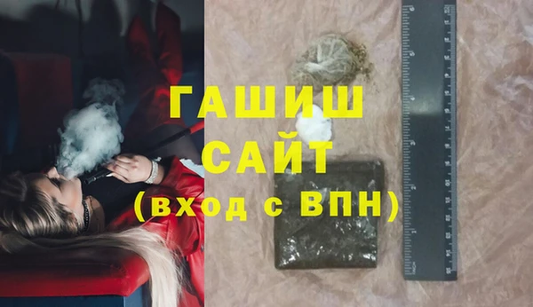 индика Анжеро-Судженск