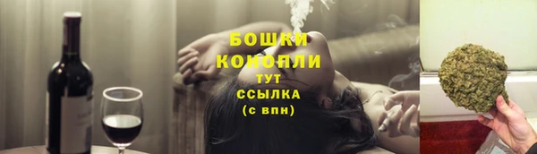 ECSTASY Гусь-Хрустальный