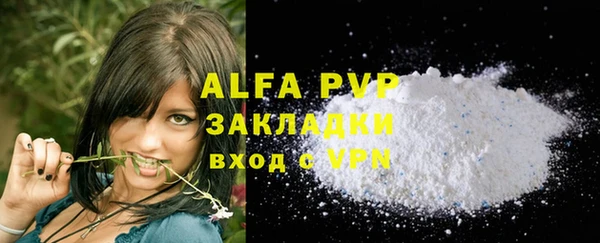 стафф Алзамай