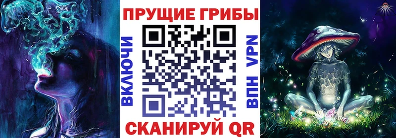 дарк нет наркотические препараты  Анапа  Галлюциногенные грибы мицелий  кракен сайт 