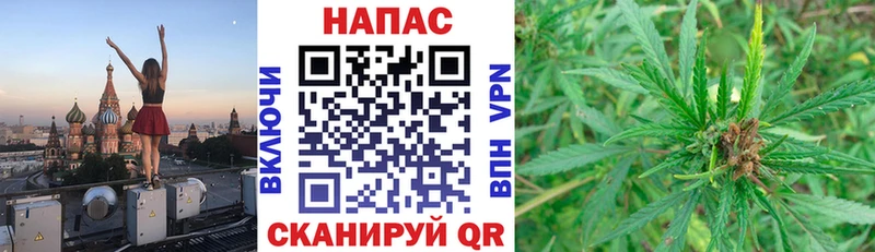 мега   Анапа  Марихуана Amnesia 